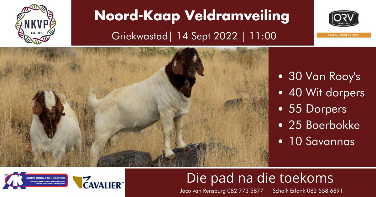 Griekwastad 2021